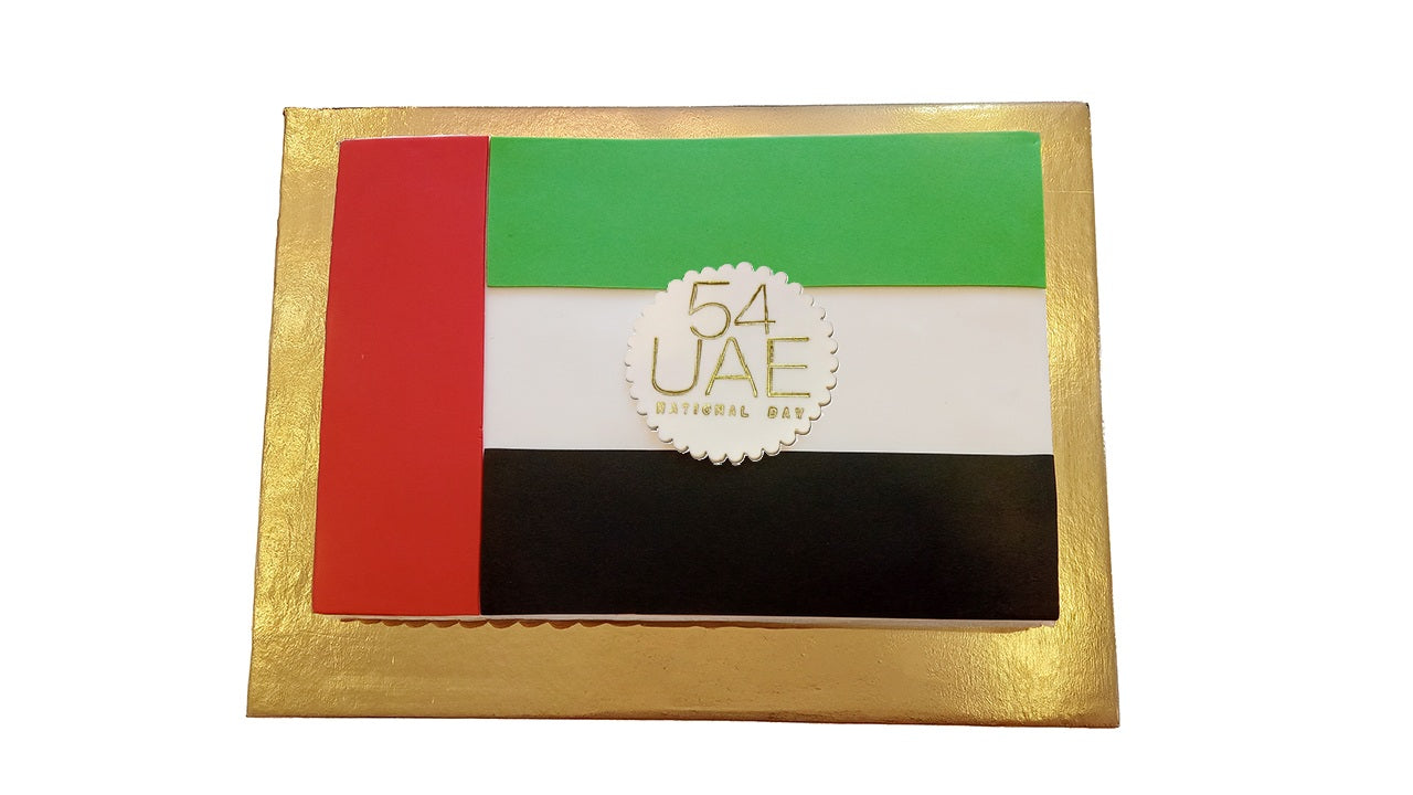 Rectangle UAE Flag Cake 2 kg