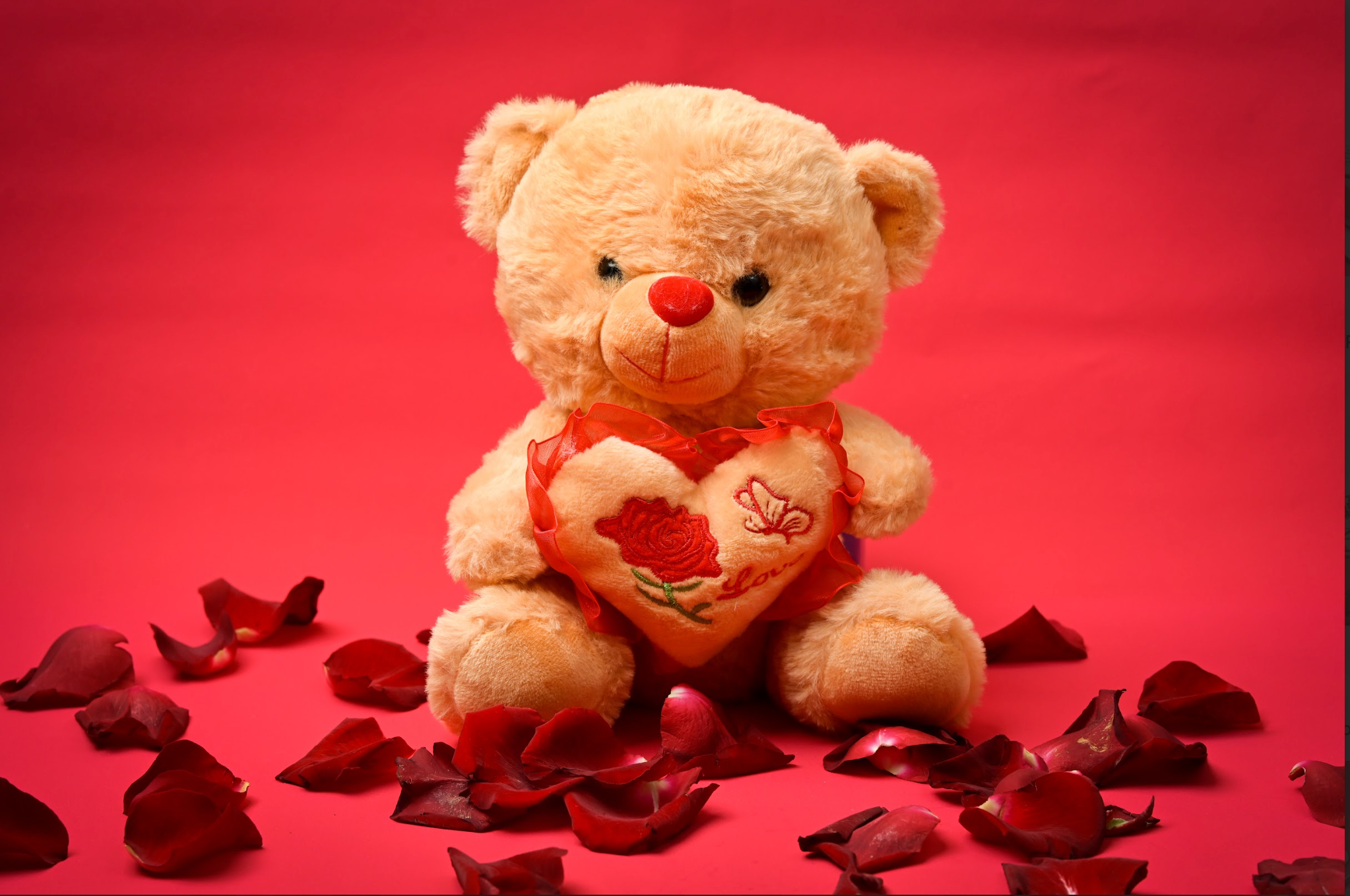 Brown Teddy stuffed toys