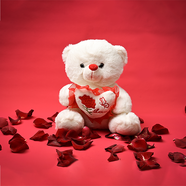 White Teddy stuffed toys